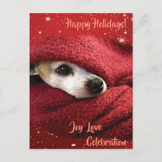 ホリデイチワワ シーズンポストカード (正面)