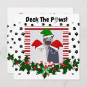 ホリデイテーマドッグトランプザポーズ シーズンカード (正面/裏面)