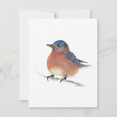 ホリデイブルーバード シーズンカード (正面)