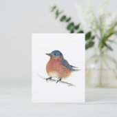 ホリデイブルーバード シーズンカード (スタンド正面)