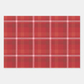 ホリデイプレイドラッピング紙セット ラッピングペーパーシート (正面2)