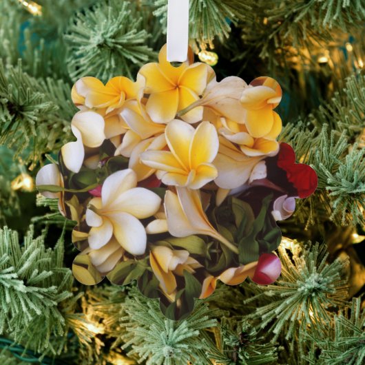 ホリデイ紙オーナメントカード オーナメントカード (インサイチュ (木))