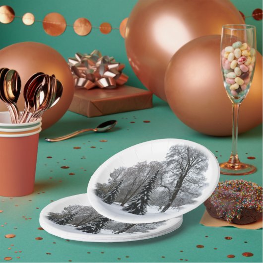 ホリデイ紙プレートウィンターワンダーランドプレート ペーパープレート (複数)