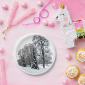 ホリデイ紙プレートウィンターワンダーランドプレート ペーパープレート (パーティー)