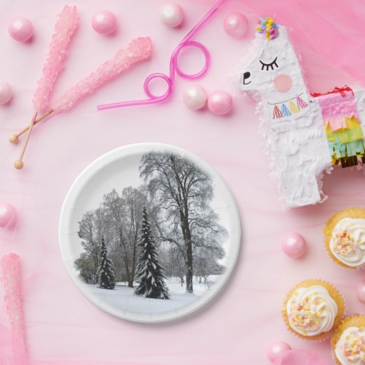 ホリデイ紙プレートウィンターワンダーランドプレート ペーパープレート (パーティー)