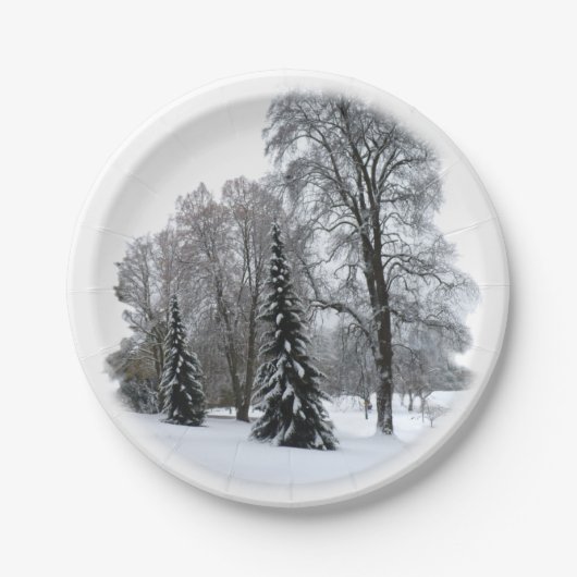ホリデイ紙プレートウィンターワンダーランドプレート ペーパープレート (正面)
