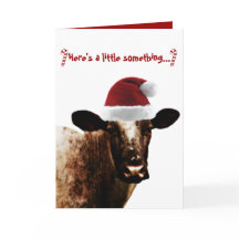 ホリデイ・カウ