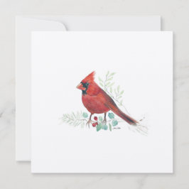 ホリデイ（鳥）ショウジョウコウカンチョウアート シーズンカード