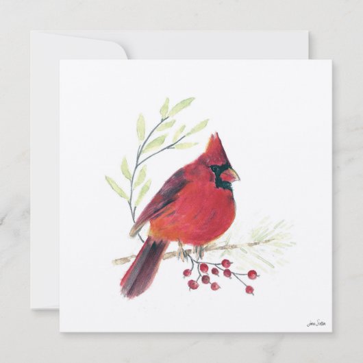 ホリデイ(鳥)ショウジョウコウカンチョウベリーズアート シーズンカード (正面)