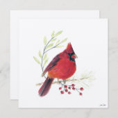 ホリデイ(鳥)ショウジョウコウカンチョウベリーズアート シーズンカード (正面/裏面)