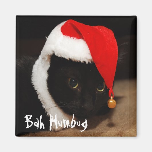 ホリデーおもしろいマグネット マグネット (正面)