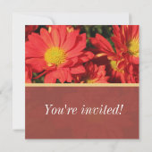 ホリデーオレンジのデイジーの花クリスマスパーティー 招待状 (裏面)