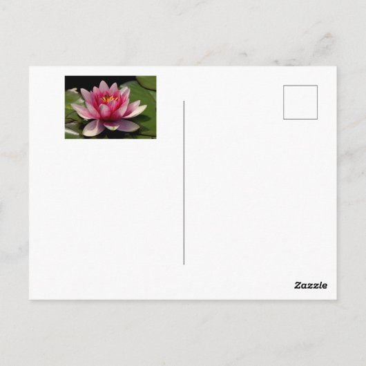 ホリデーカードに美しい蓮が乗っている。 ポストカード (裏面)