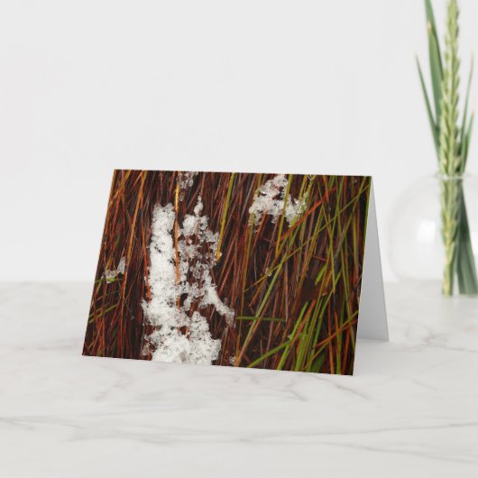 ホリデーカードドーヴレイククレードルマウンテン シーズンカード (正面)