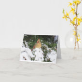 ホリデーカード付（鳥）ショウジョウコウカンチョウ カード (黄色い花)