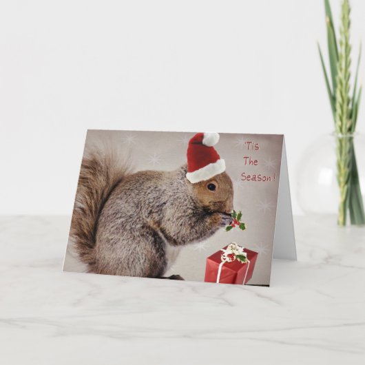 ホリデーカード自然愛好家 シーズンカード (正面)