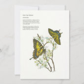 ホリデーカード (正面)