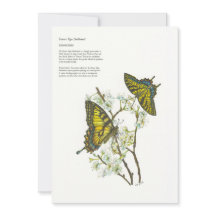 ホリデーカード