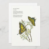 ホリデーカード (正面/裏面)