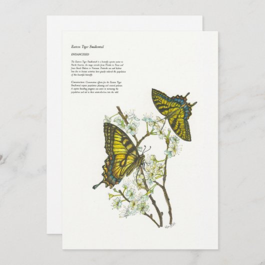 ホリデーカード (正面/裏面)