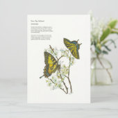 ホリデーカード (スタンド正面)