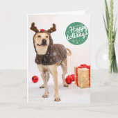 ホリデーカード (正面)