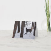 ホリデーカード (正面)