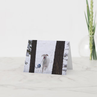 ホリデーカード