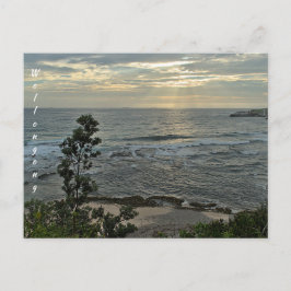 ホリデーカード/はがき ポストカード