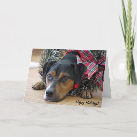 ホリデーカード「サンタのクッキー?」 シーズンカード (正面)