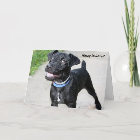 ホリデーカード"休日応援" シーズンカード (正面)