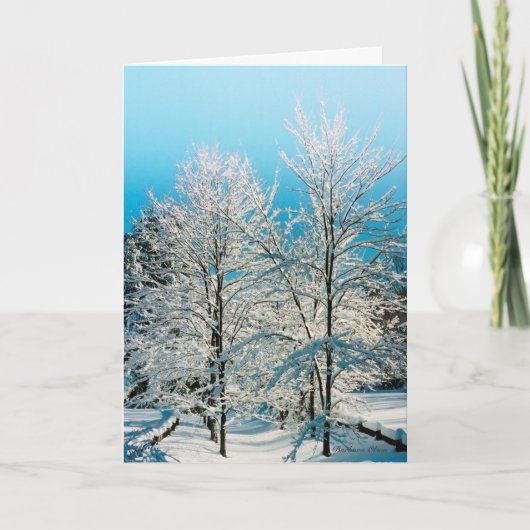 ***ホリデーカード:神性に満ちた自然。 シーズンカード (正面)