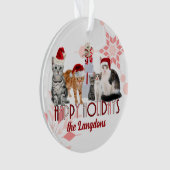 ホリデーキャッツカスタムレッドピンクスノーフレーク オーナメント (正面)