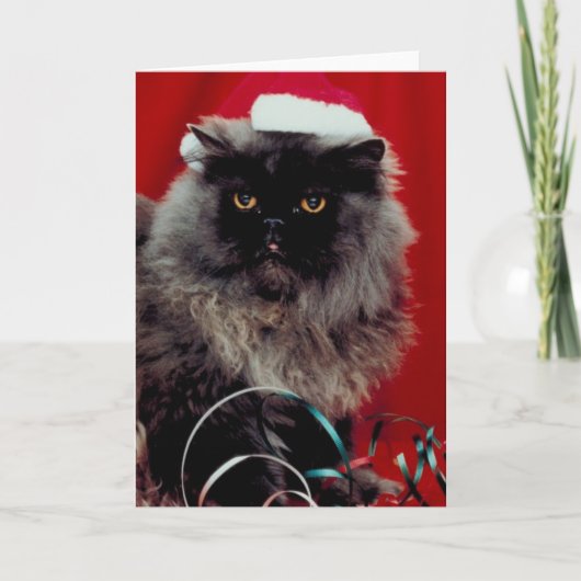 ホリデーキャット シーズンカード (正面)