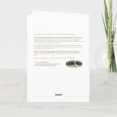 ホリデーギフト ケープのクローバーガール クリスマスカード (裏面)