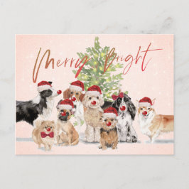 ホリデークリスマス愛犬家メリーサンタハット ポストカード