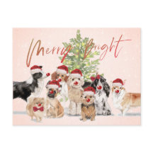 ホリデークリスマス愛犬家メリーサンタハット