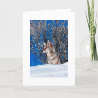 ホリデーグリーティングカードウィンター自然 シーズンカード