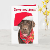 ホリデーグリーティングカードチョコレートラボ カード (黄色い花)