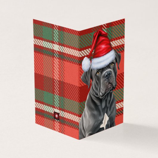 ホリデーケインコルソドグレッドグリーンプレイドクリスマス (外部)