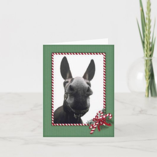 ホリデーコーディ シーズンカード (正面)