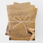 ホリデーシーシェルビーチ ラッピングペーパーシート (インサイチュ)