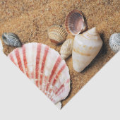 ホリデーシーシェルビーチ 薄葉紙 (詳細)