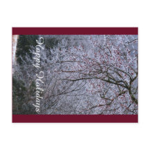 ホリデーシーズンのポストカード