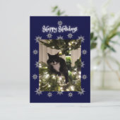 ホリデーシーズンの挨拶。タキシード猫 (スタンド正面)