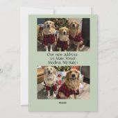 ホリデーシーズンの新しい家 シーズンカード (裏面)