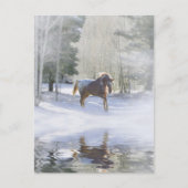 ホリデーシーズンズグリーティングホースin雪 ポストカード (正面)