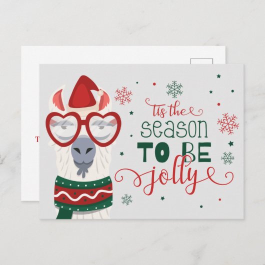 ホリデーシーズン到来！ラクダのLllamaと一緒に楽しく過ごそう ポストカード (正面/裏面)