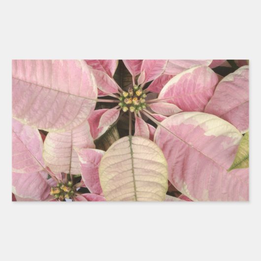 ホリデースタンプ 長方形シール (正面)