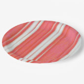 ホリデーストライプ紙プレート ペーパープレート (アングル)